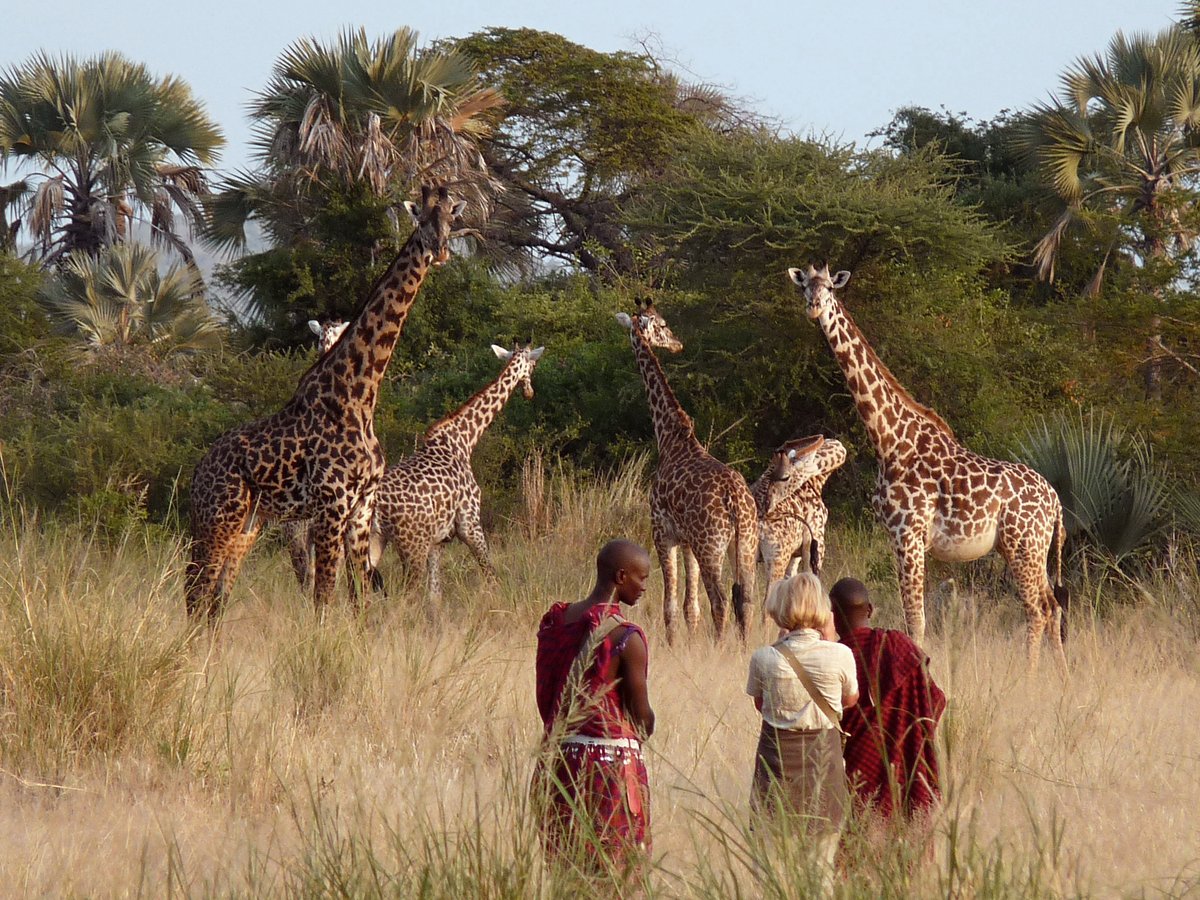 Jour 1 : Arusha – Tarangire National Park